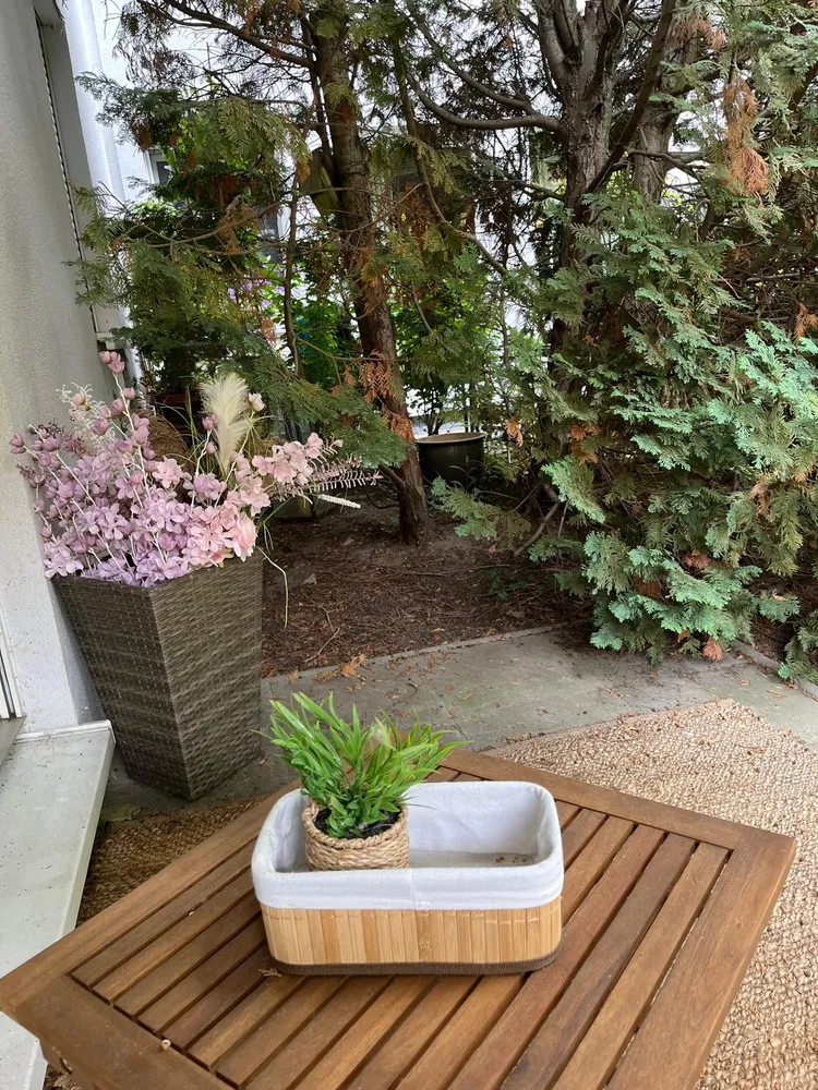 1 room apartment with 31 m² in Magdeburg – Photo 2