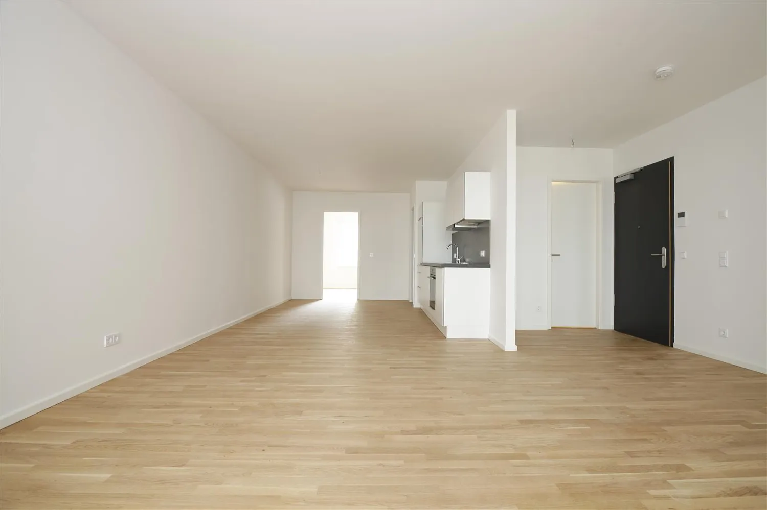 2 Zimmer Wohnung mit 75 m² in Dresden – Bild 4