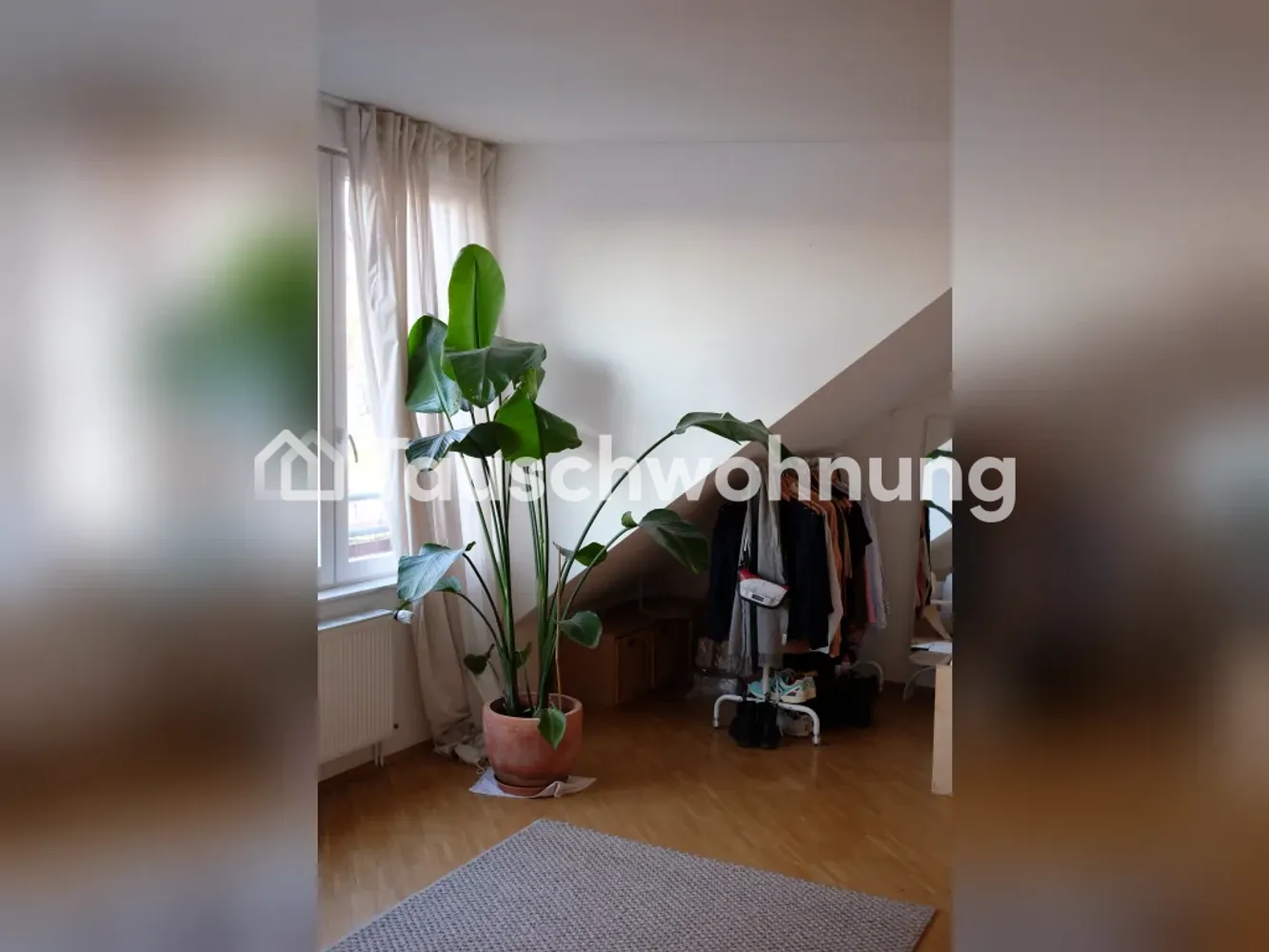 1 Zimmer Wohnung mit 50 m² in Köln – Bild 2