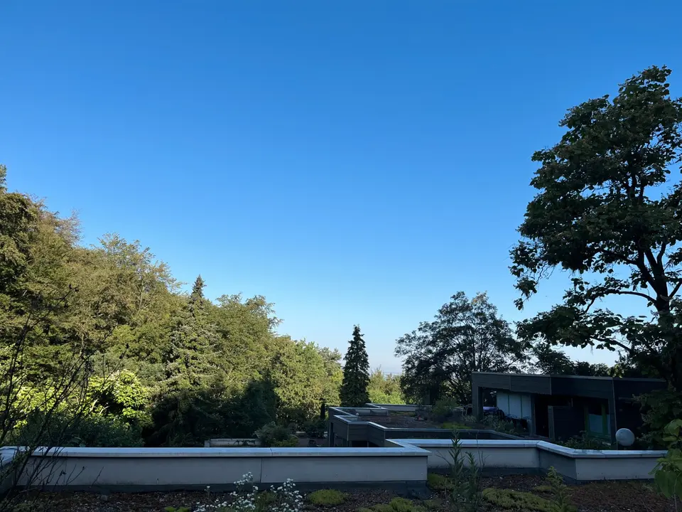 WG-Zimmer mit 12 m² in Heidelberg – Bild 8
