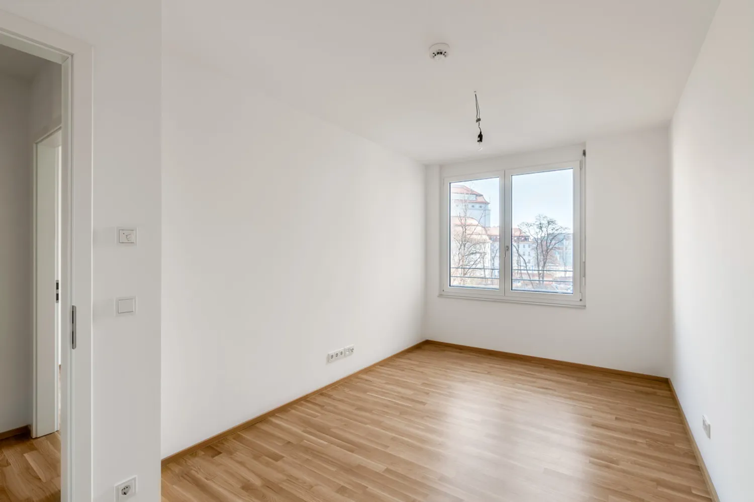 4 Zimmer Wohnung mit 117 m² in Dresden – Bild 2