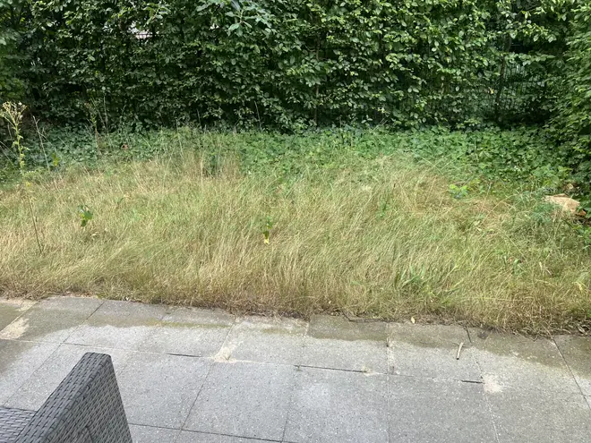 2 Zimmer Wohnung mit 53 m² in Hamburg – Bild 5