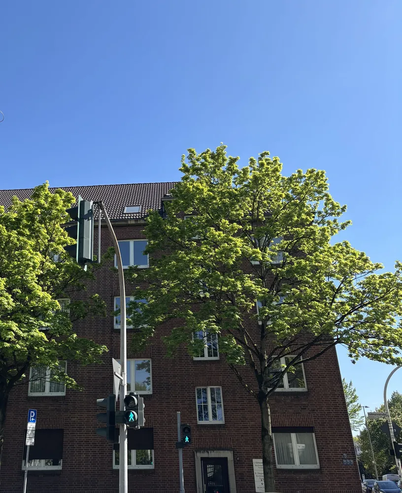 4 Zimmer Wohnung mit 78 m² in Gelsenkirchen – Bild 3