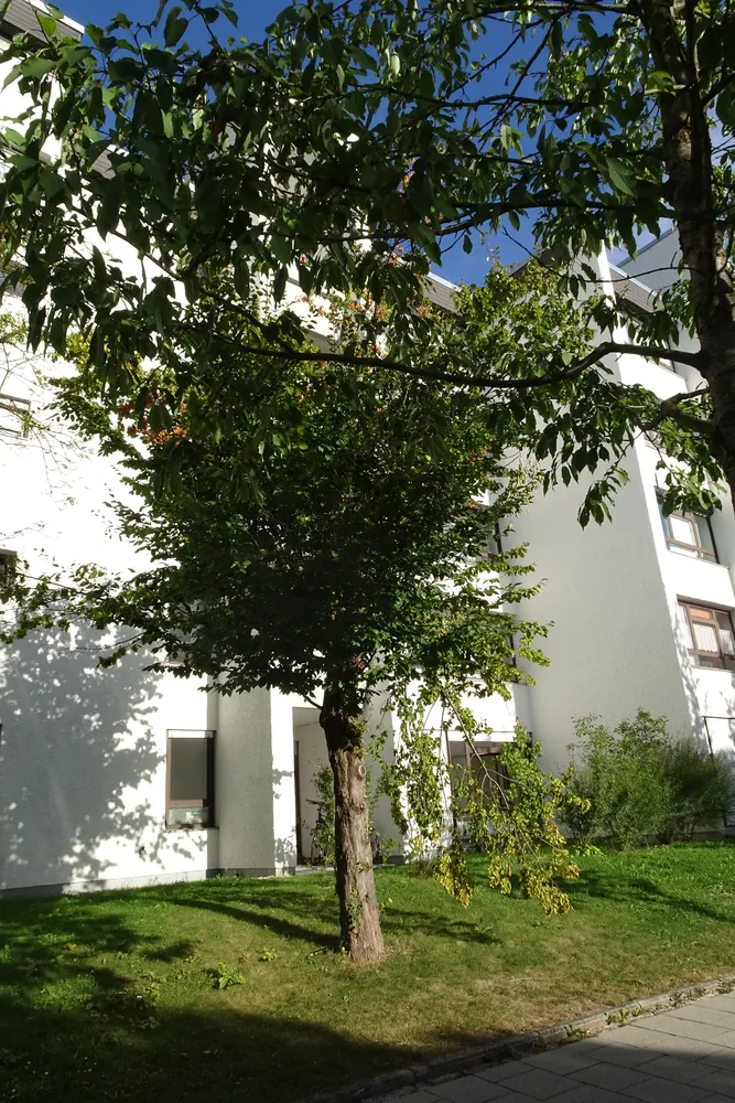 3 room apartment with 74 m² in Munich – Photo 11