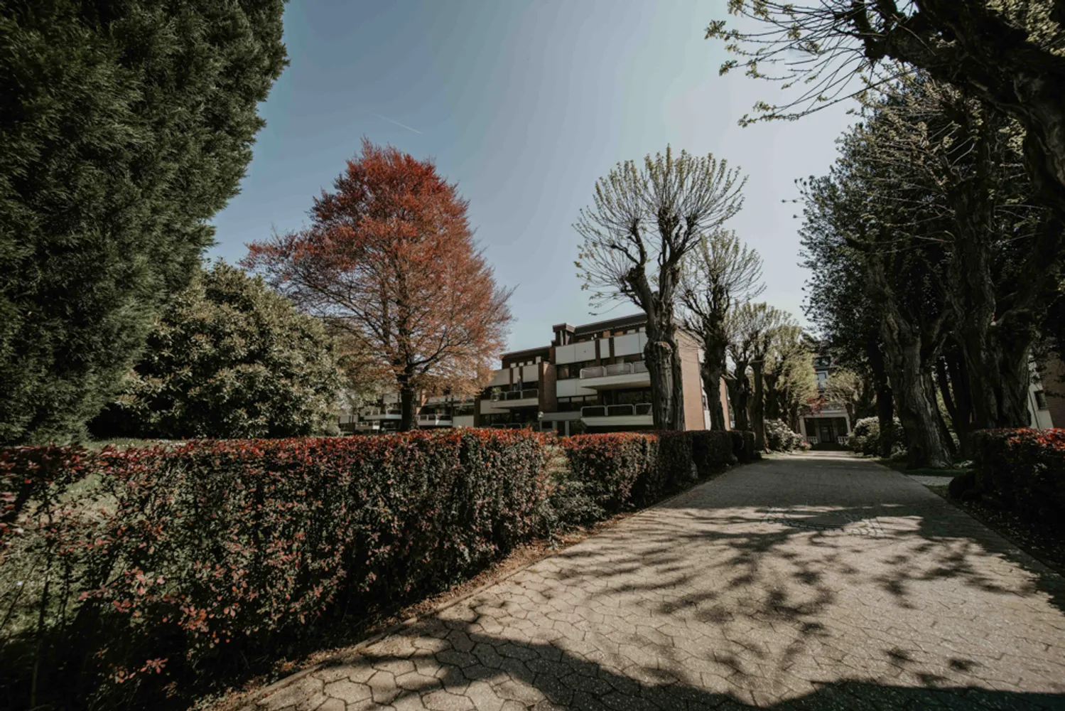 2 room apartment with 118 m² in Düsseldorf – Photo 8