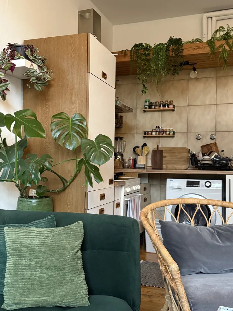 2 Zimmer Wohnung mit 29 m² in Aachen – Bild 4