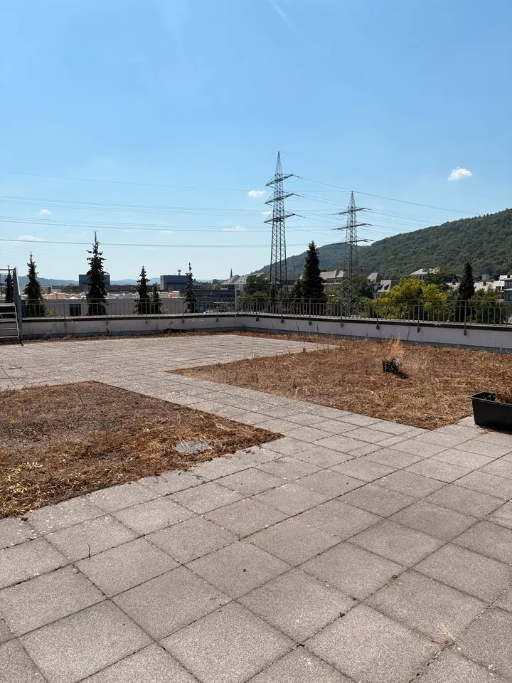 Studio mit 30 m² in Trier – Bild 7