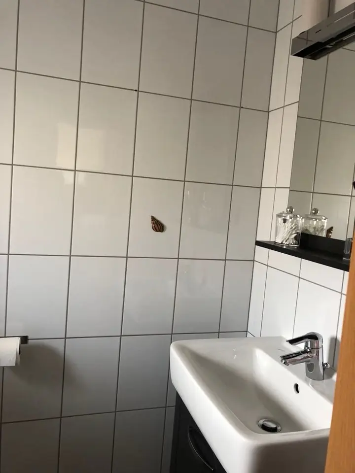 WG-Zimmer mit 17 m² in Coesfeld – Bild 10