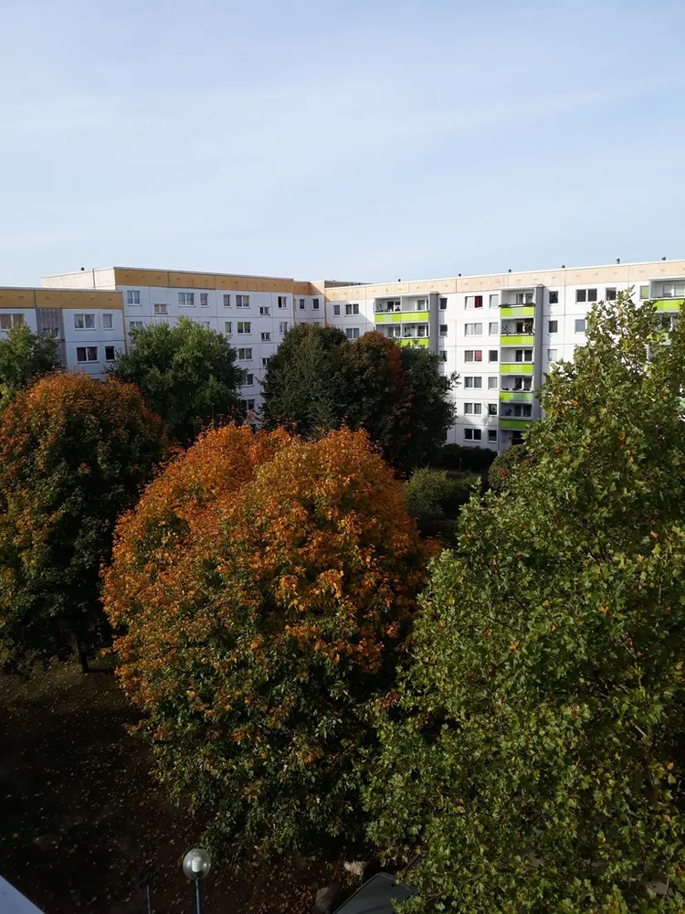 4 room apartment with 76 m² in Berlin – Photo 1