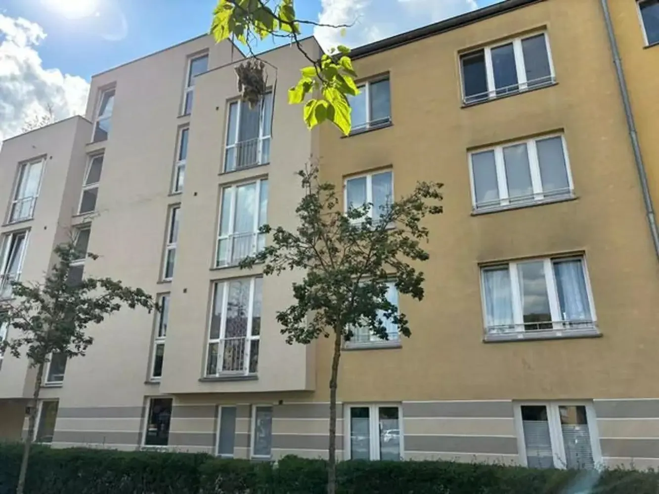 2 Zimmer Wohnung mit 48 m² in Potsdam – Bild 7