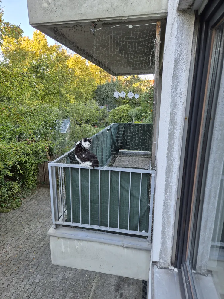 2 Zimmer Wohnung mit 50 m² in Aachen – Bild 3