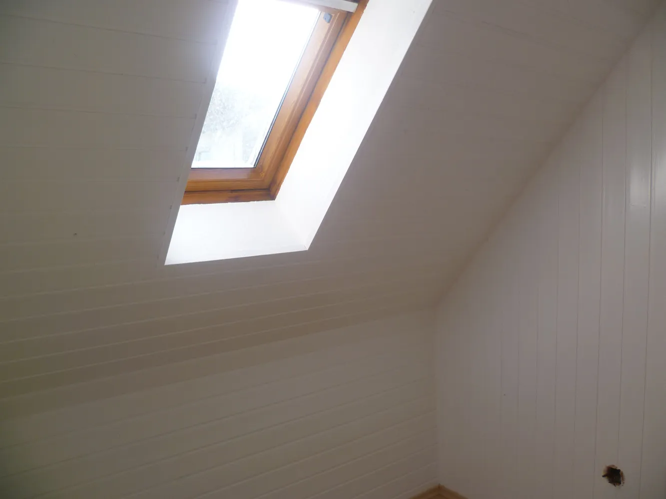 2 room apartment with 30 m² in Pirmasens – Photo 4