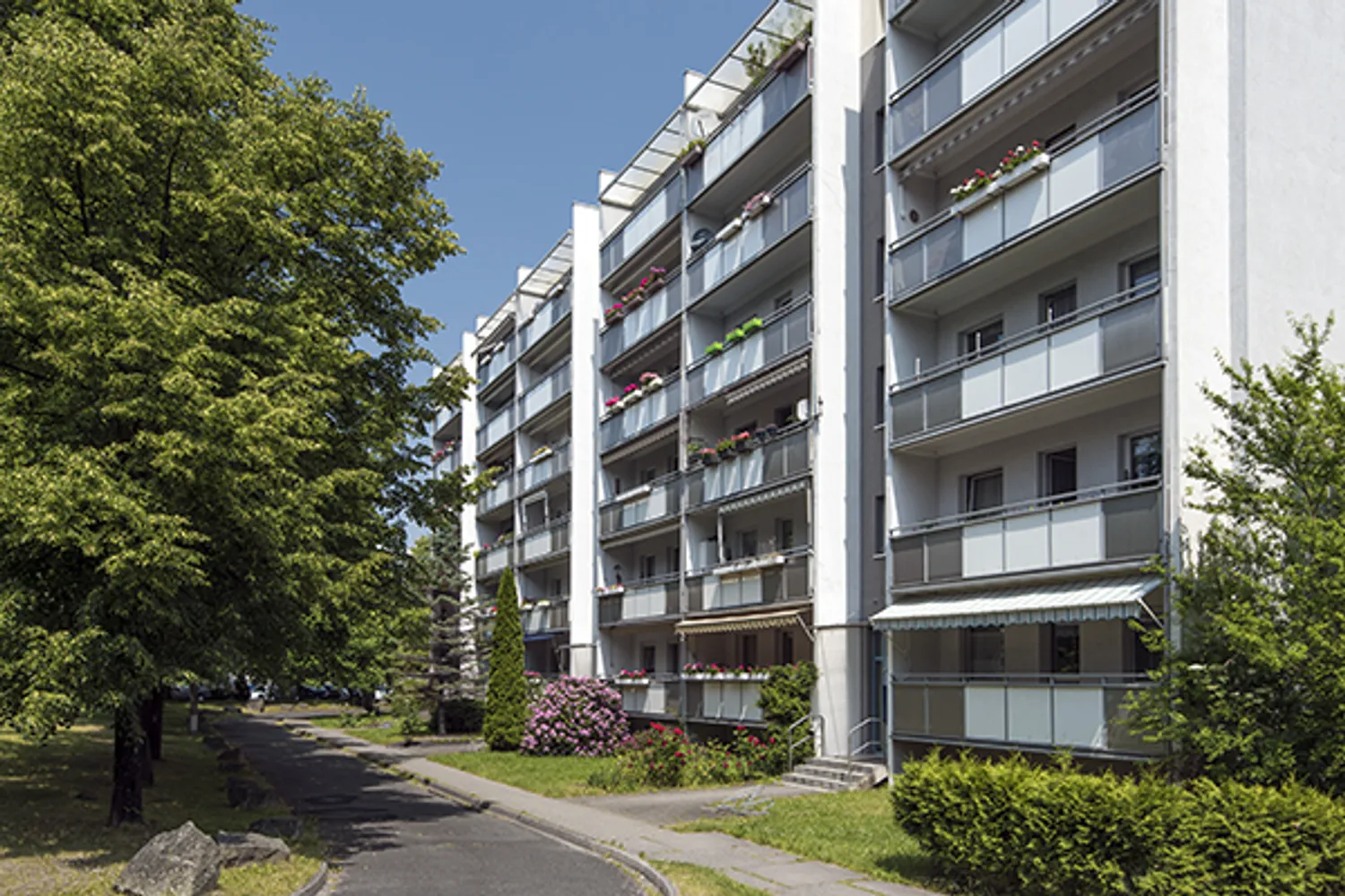 3 Zimmer Wohnung mit 64 m² in Dresden – Bild 1