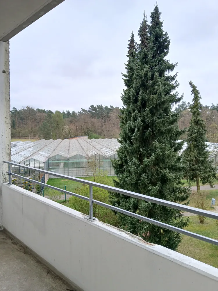 3 Zimmer Wohnung mit 76 m² in Bielefeld – Bild 7