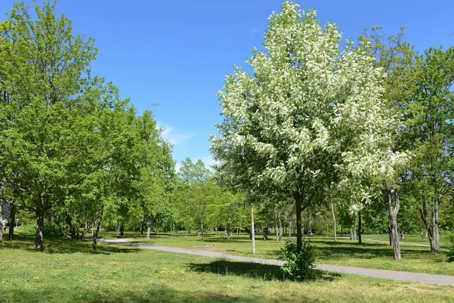 2 Zimmer Wohnung mit 48 m² in Berlin – Bild 6