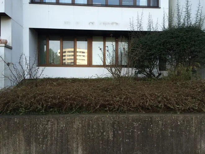 2 Zimmer Wohnung mit 41 m² in Bonn – Bild 2