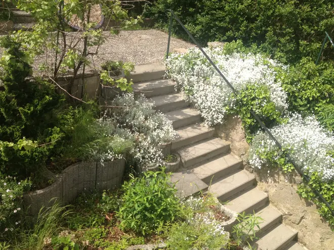 8 Zimmer Haus mit 129 m² in Berlin – Bild 8