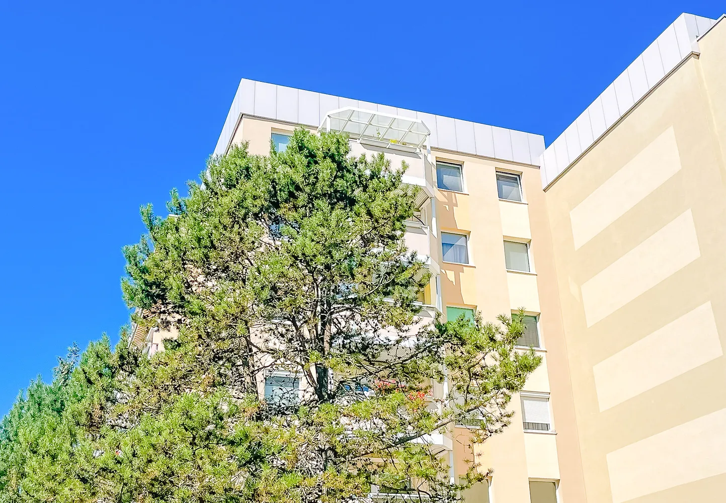 3 Zimmer Wohnung mit 65 m² in Dresden – Bild 7