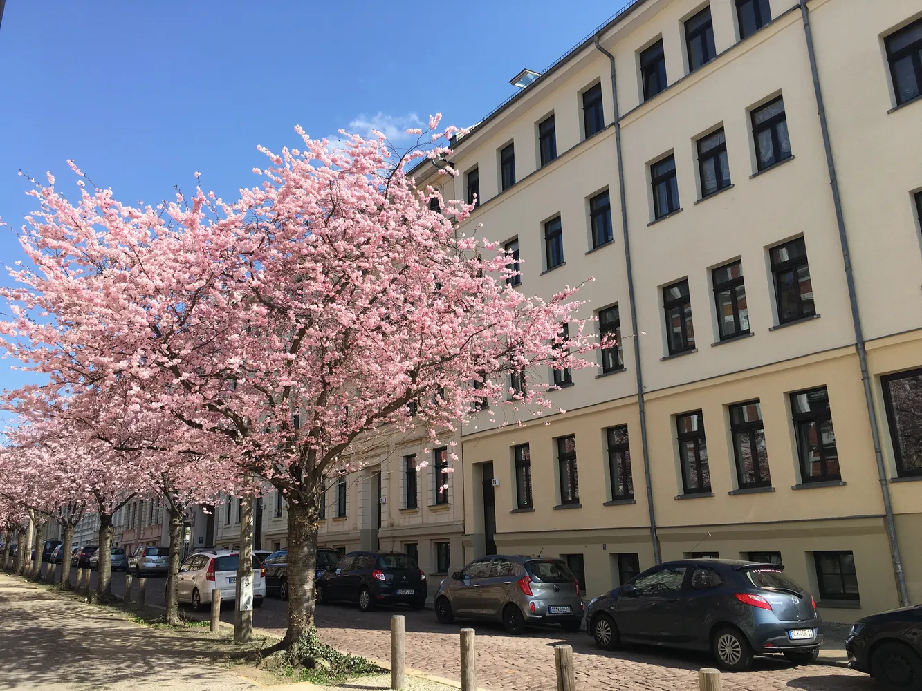 3 Zimmer Wohnung mit 77 m² in Halle (Saale) – Bild 2