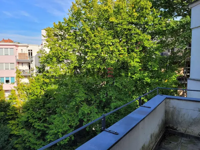 3 Zimmer Wohnung mit 116 m² in Leipzig – Bild 10