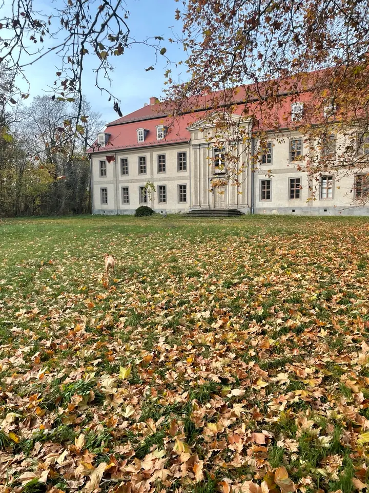 2 Zimmer Wohnung mit 90 m² in Köthen – Bild 10