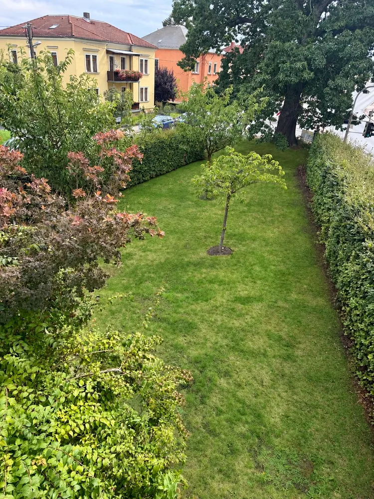 4 room apartment with 123 m² in Dresden – Photo 12