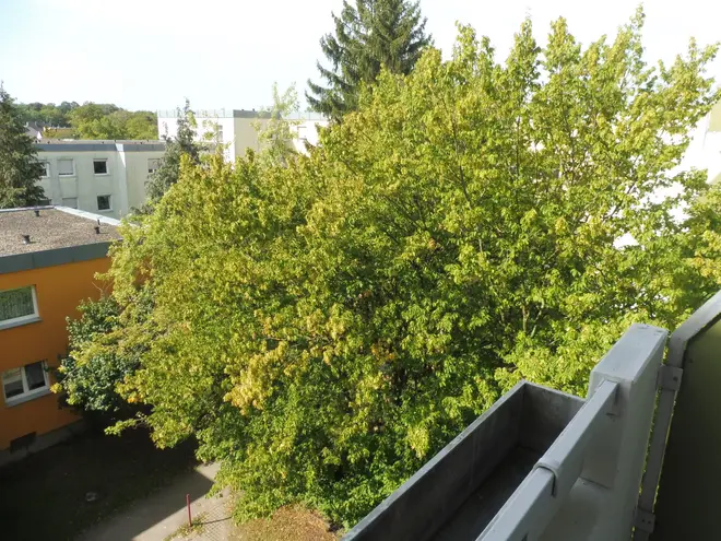 2 Zimmer Wohnung mit 35 m² in Regensburg – Bild 3