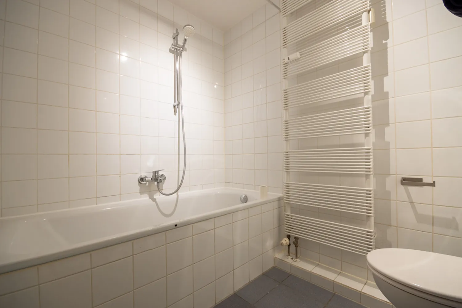 1 Zimmer Wohnung mit 31 m² in Dresden – Bild 1