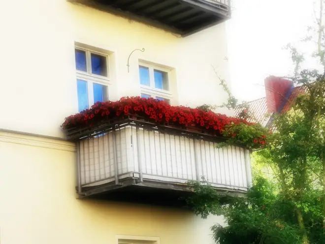 2 Zimmer Wohnung mit 60 m² in Potsdam – Bild 1
