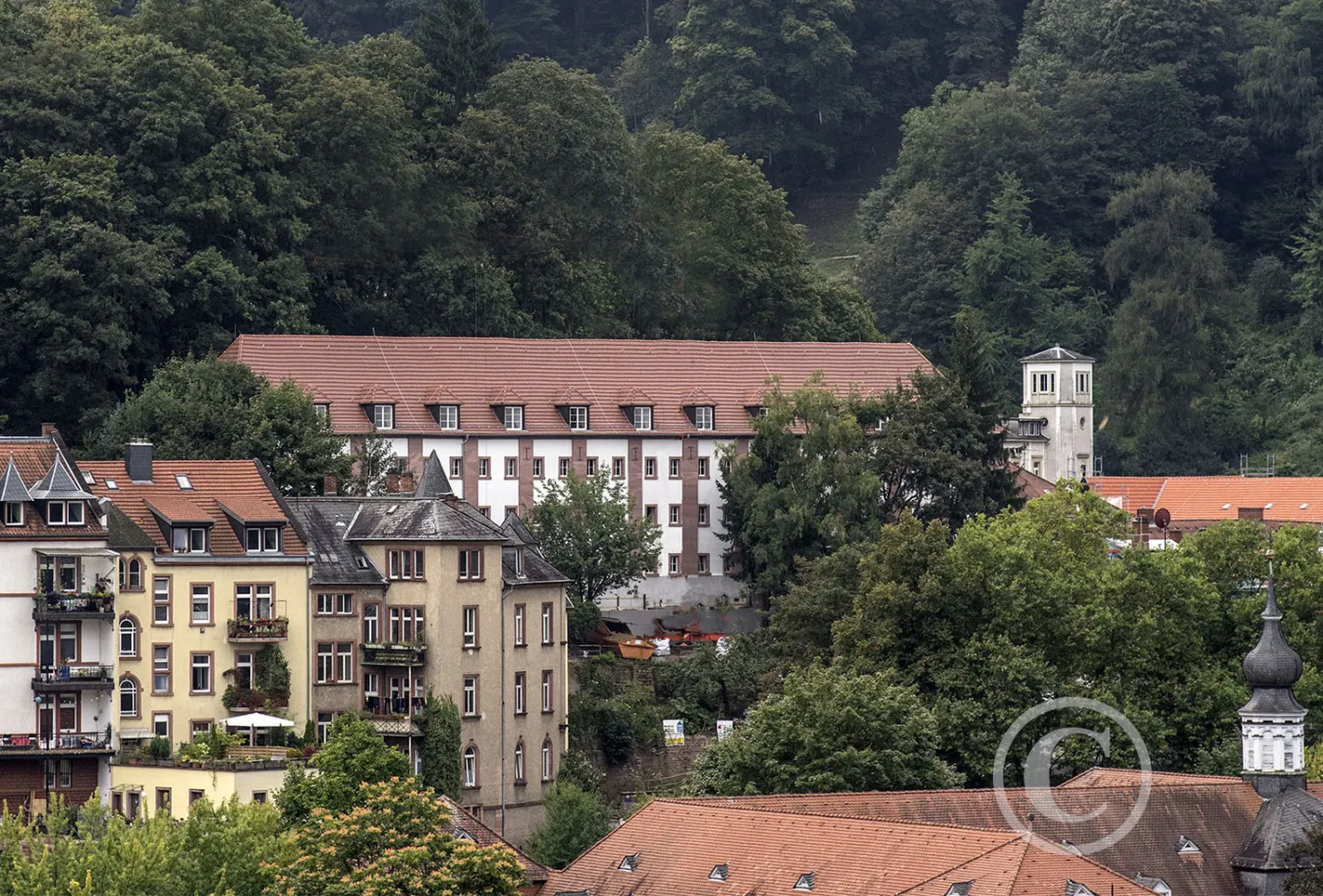 2 Zimmer Wohnung mit 45 m² in Heidelberg – Bild 3