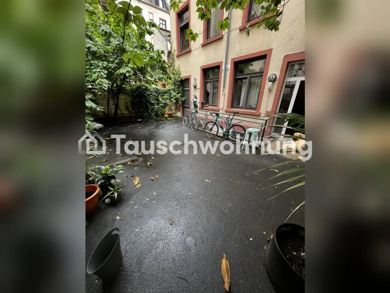 2 room apartment with 55 m² in Frankfurt am Main – Photo 8