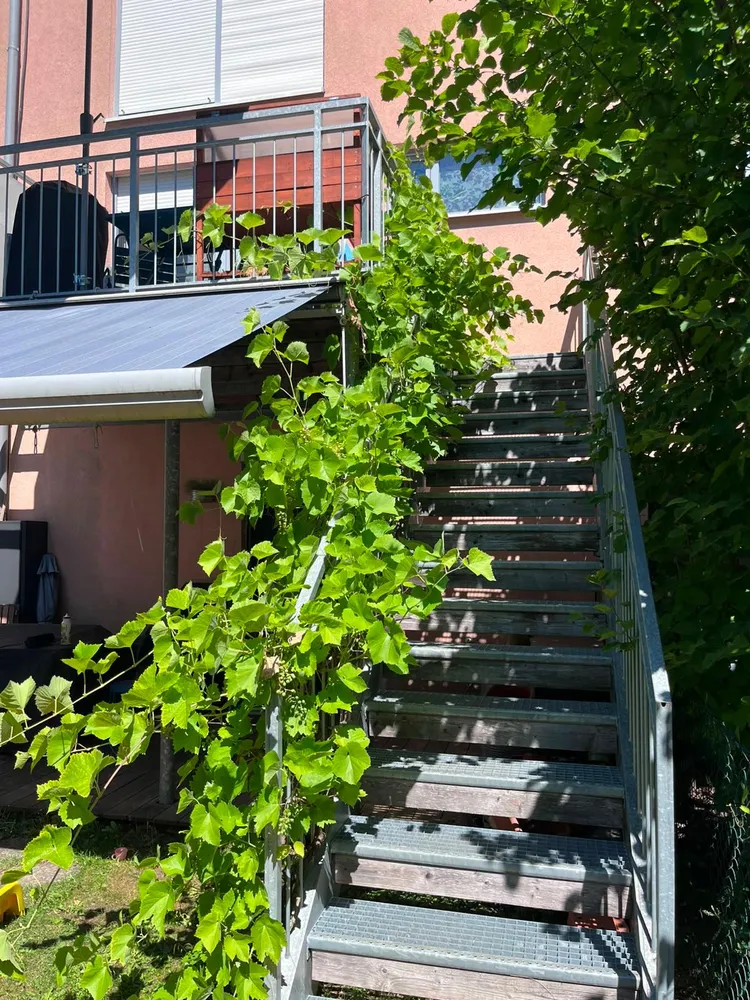 5 room house with 152 m² in Fürstenfeldbruck – Photo 10