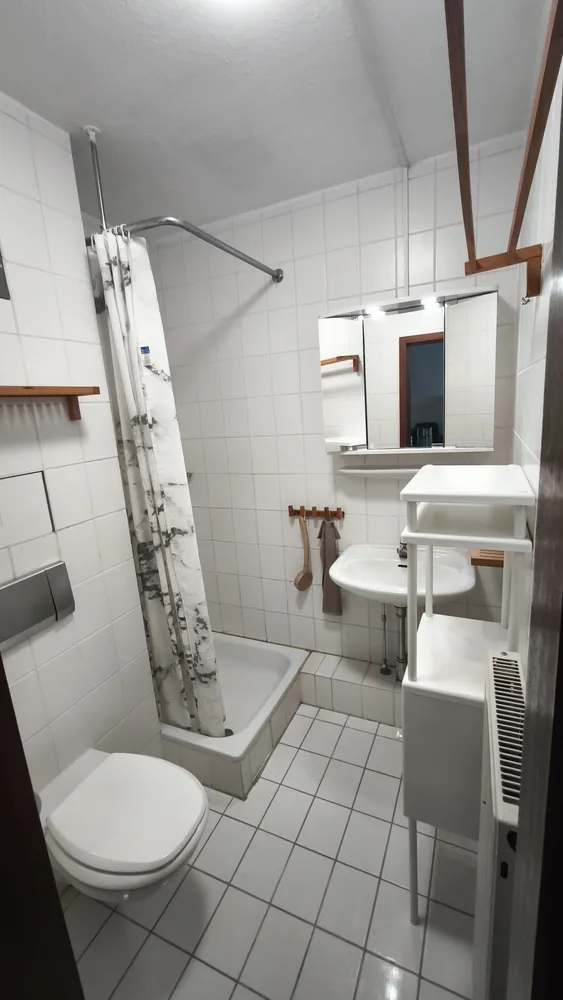 1 Zimmer Wohnung mit 20 m² in Ludwigshafen am Rhein – Bild 4