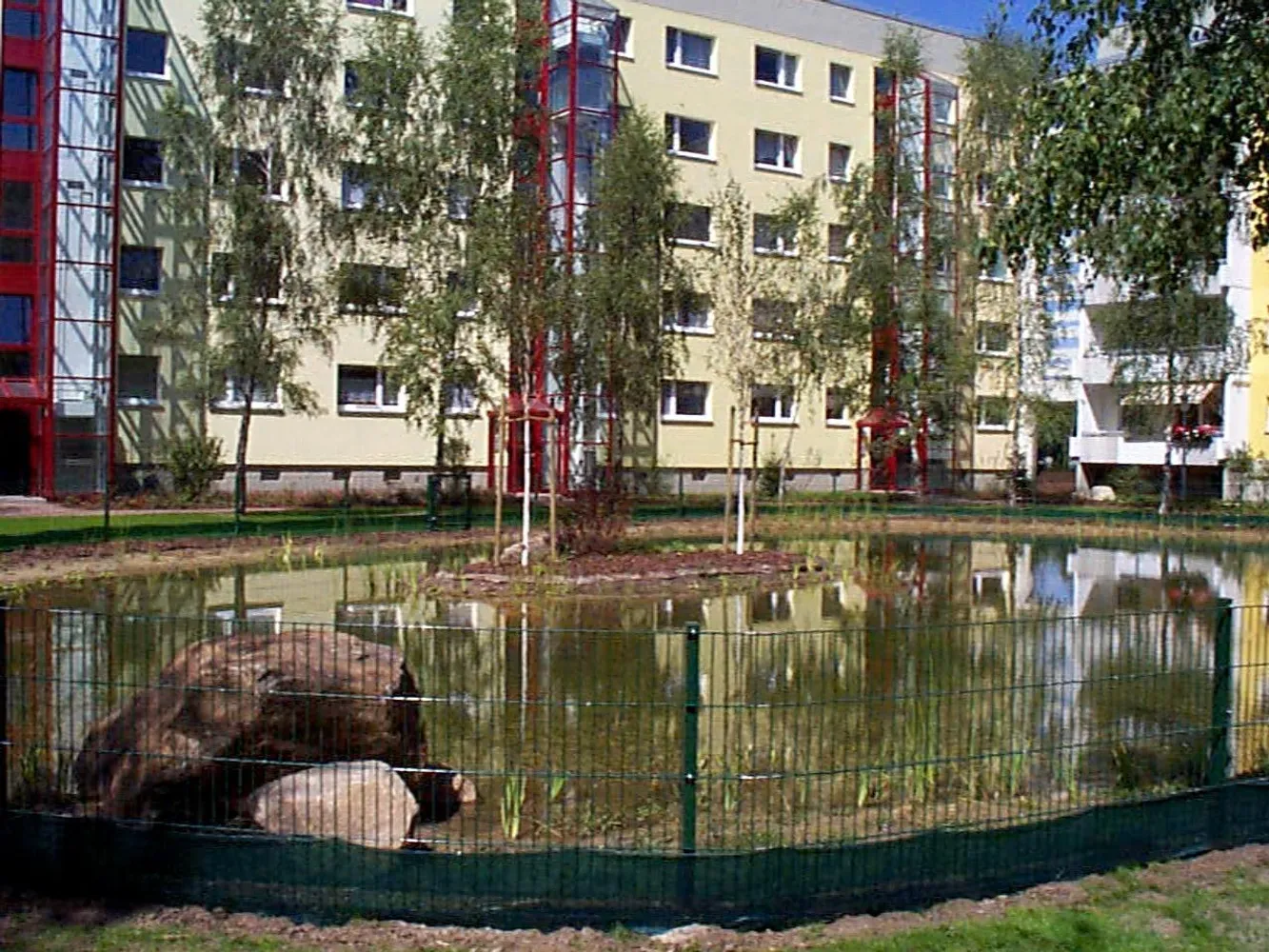 3 room apartment with 69 m² in Magdeburg – Photo 6