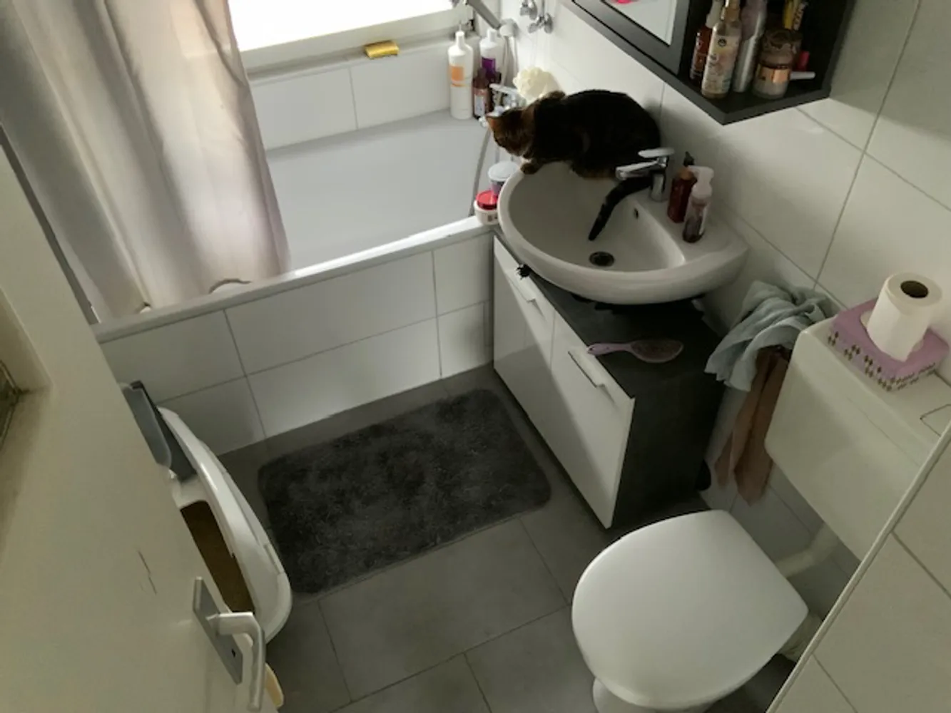 2 Zimmer Wohnung mit 47 m² in Duisburg – Bild 7