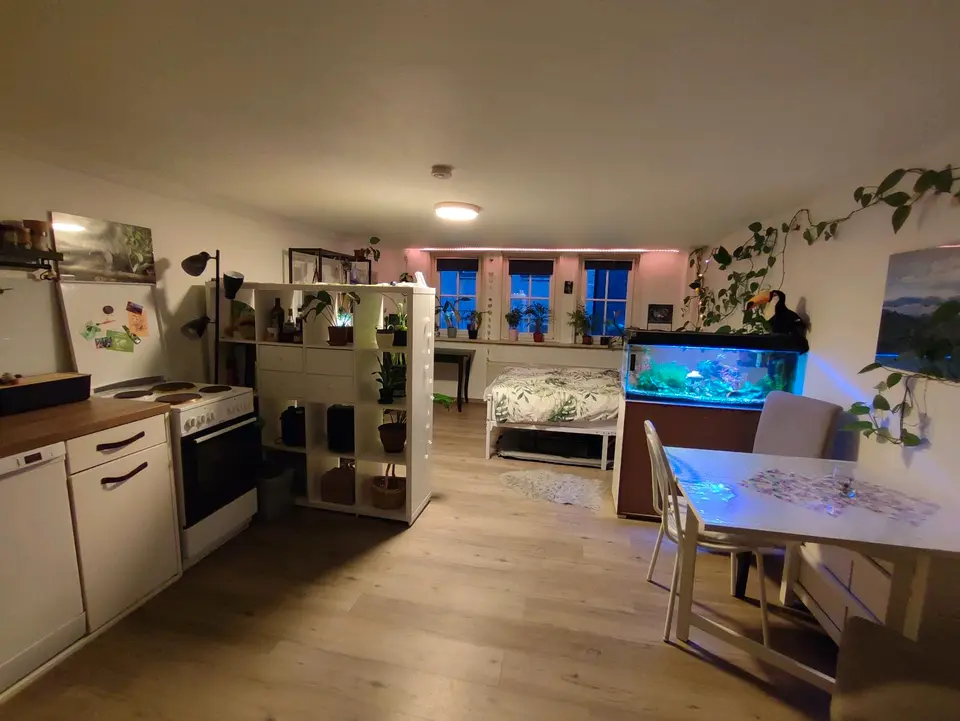 Studio mit 30 m² in Marburg – Bild 7