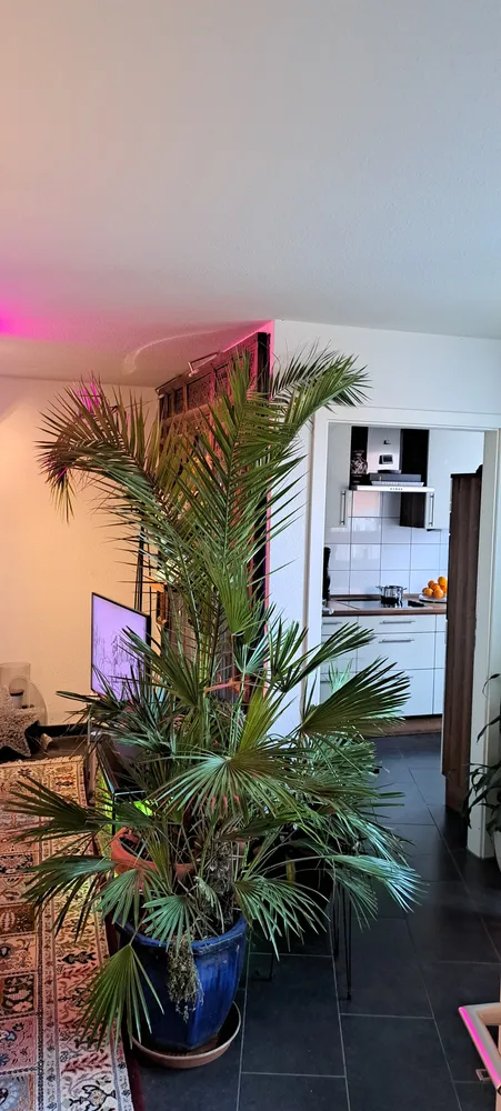 2 Zimmer Wohnung mit 59 m² in Stuttgart – Bild 5