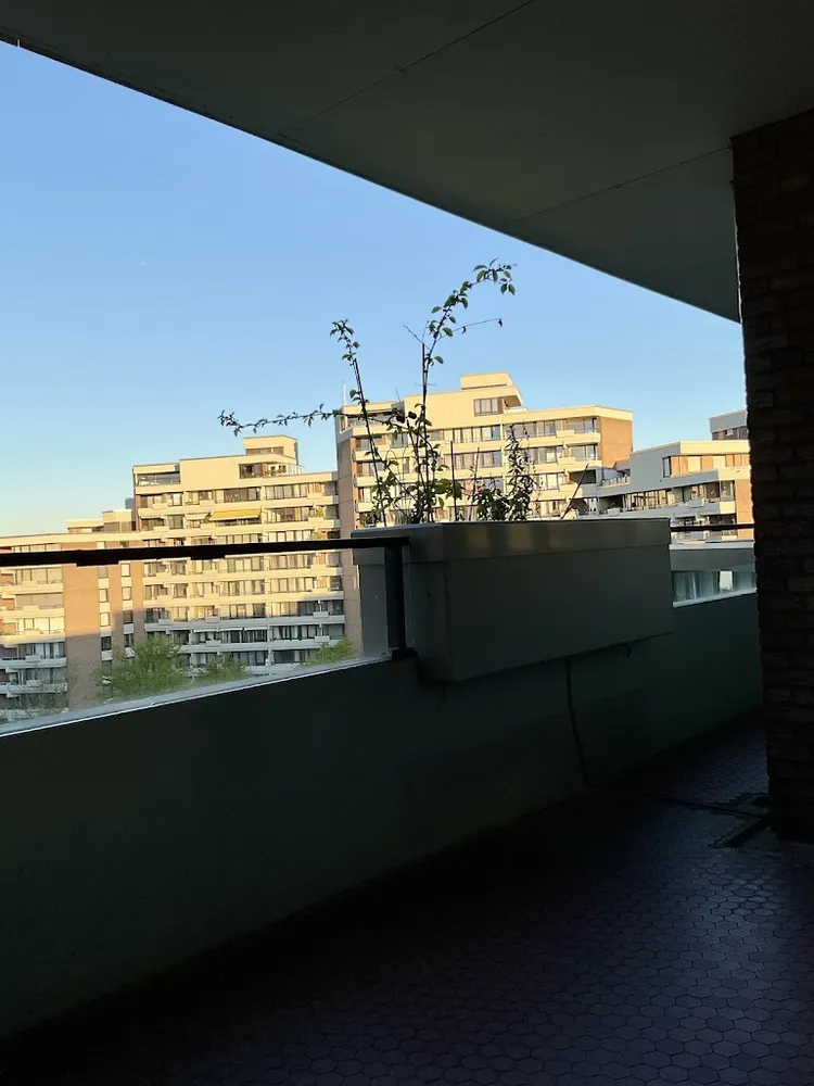 4 Zimmer Wohnung mit 115 m² in Köln – Bild 9