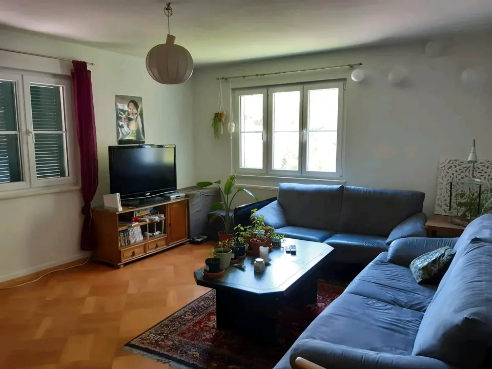 WG-Zimmer mit 150 m² in Weingarten – Bild 1