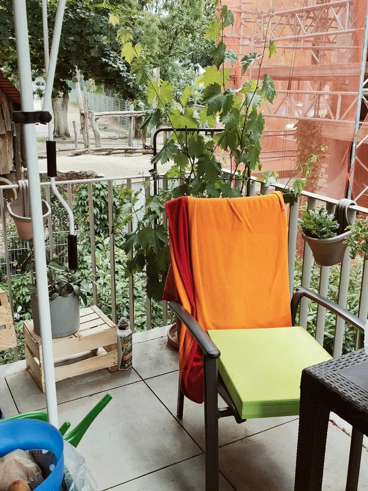 3 Zimmer Wohnung mit 81 m² in Darmstadt – Bild 2