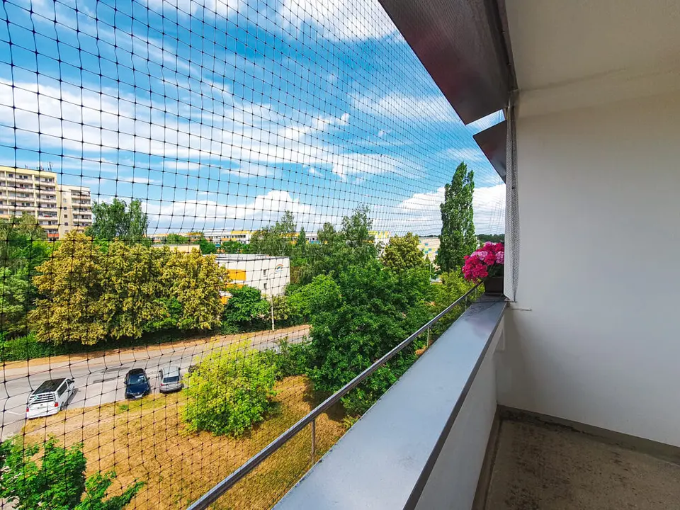 2 Zimmer Wohnung mit 57 m² in Zwickau – Bild 3