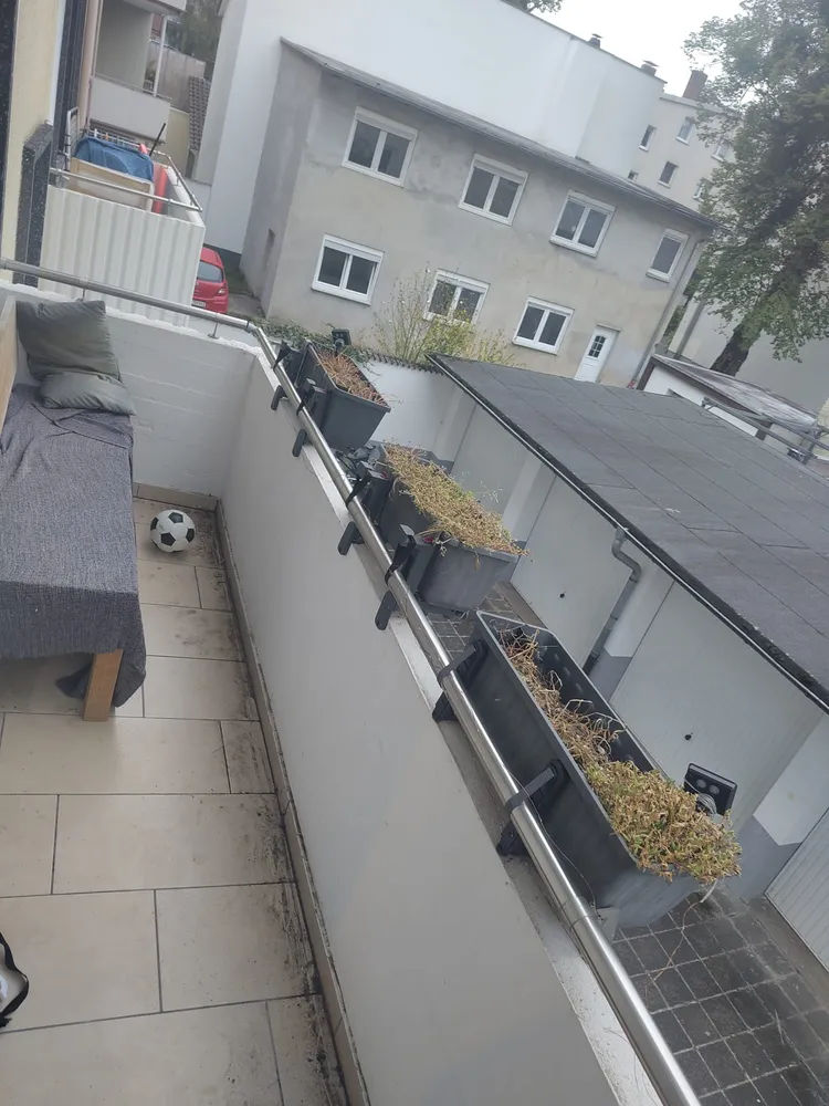 3 room apartment with 65 m² in Darmstadt – Photo 6