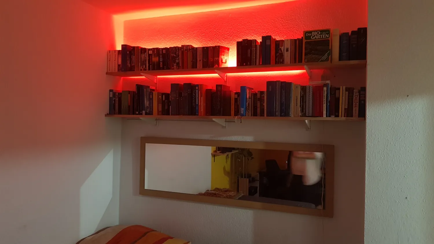 1 room apartment with 26 m² in Darmstadt – Photo 2