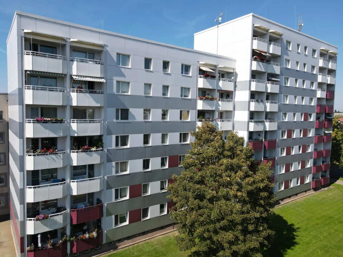 1 room apartment with 32 m² in Magdeburg – Photo 1