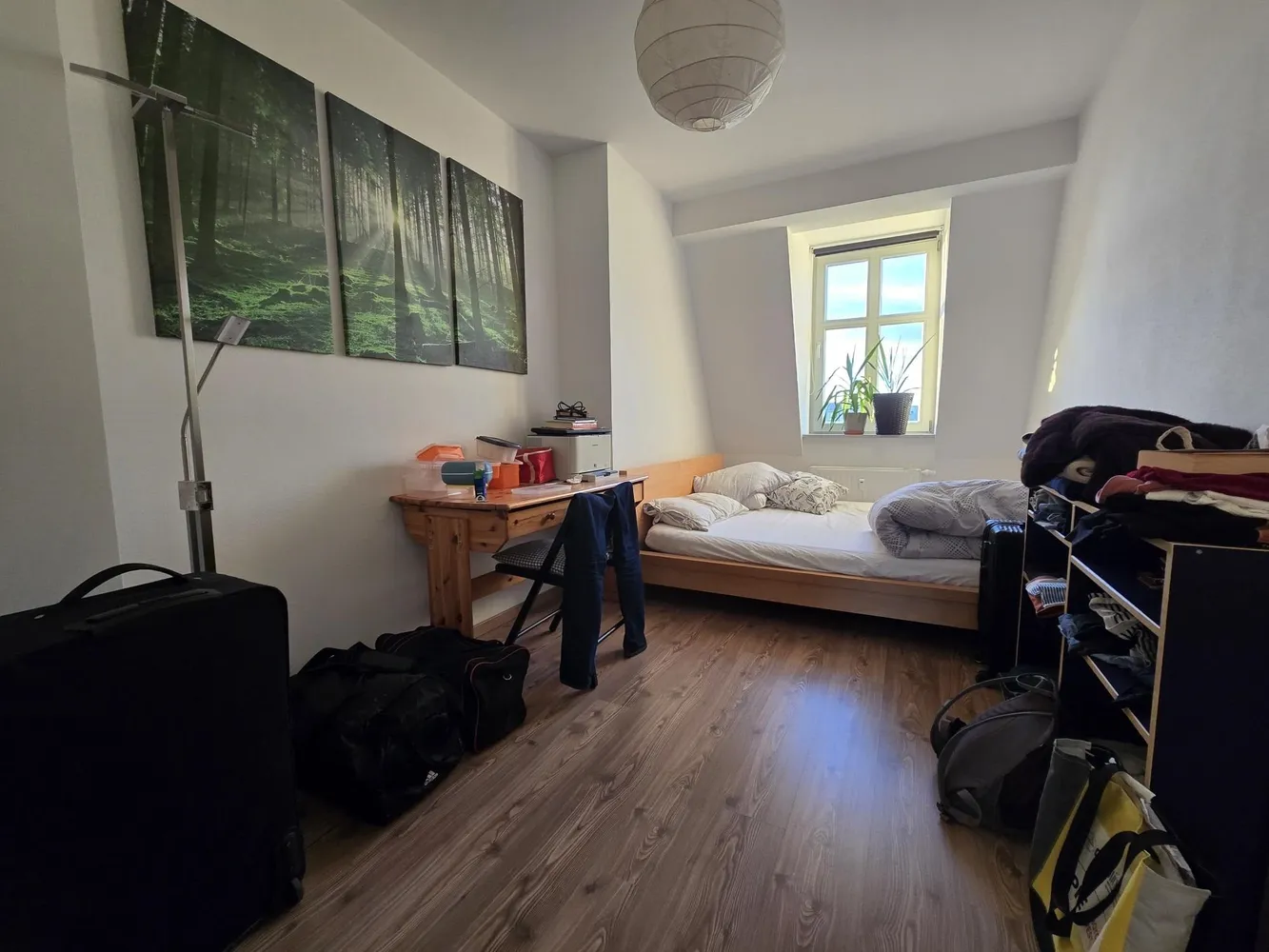 2 room apartment with 44 m² in Dresden – Photo 5