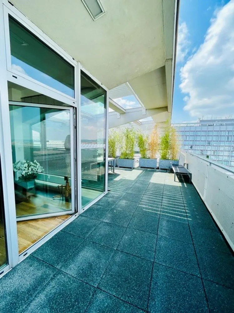 2 room apartment with 161 m² in Dresden – Photo 4