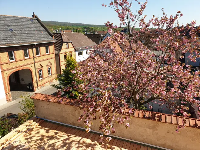 3 Zimmer Wohnung mit 90 m² in Wiesbaden – Bild 5