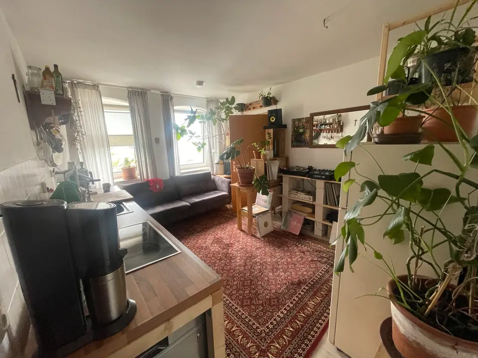 2 Zimmer Wohnung mit 35 m² in Halle (Saale) – Bild 2