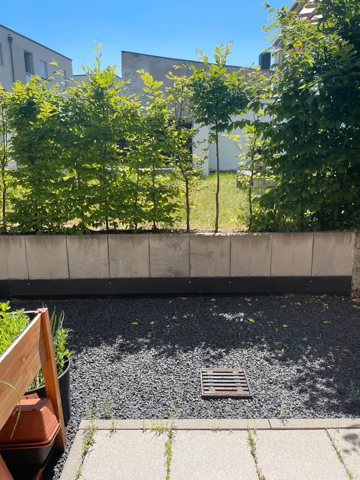 WG-Zimmer mit 50 m² in Mainz – Bild 10