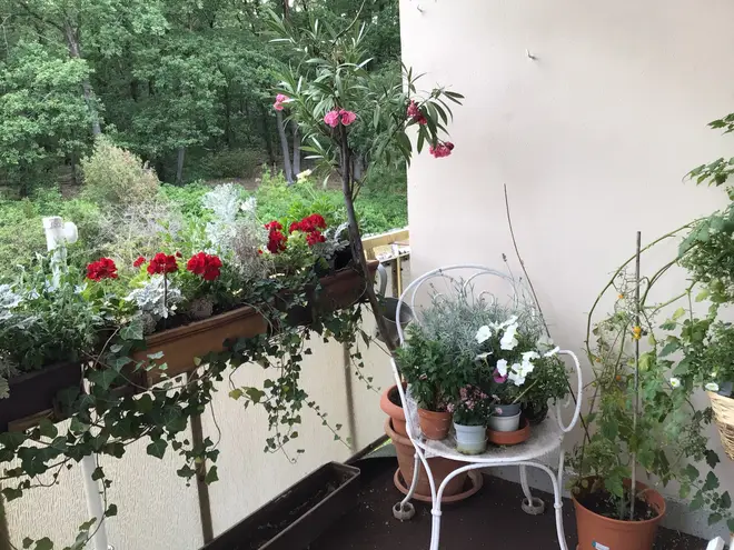 4 Zimmer Wohnung mit 80 m² in Potsdam – Bild 4